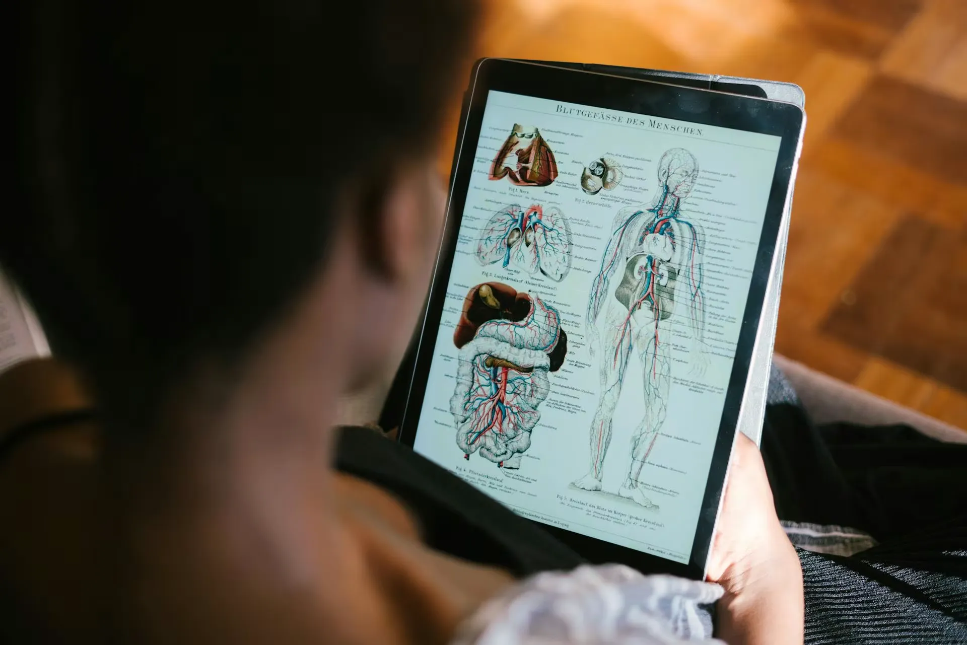 Student studying anatomy diagram on tablet