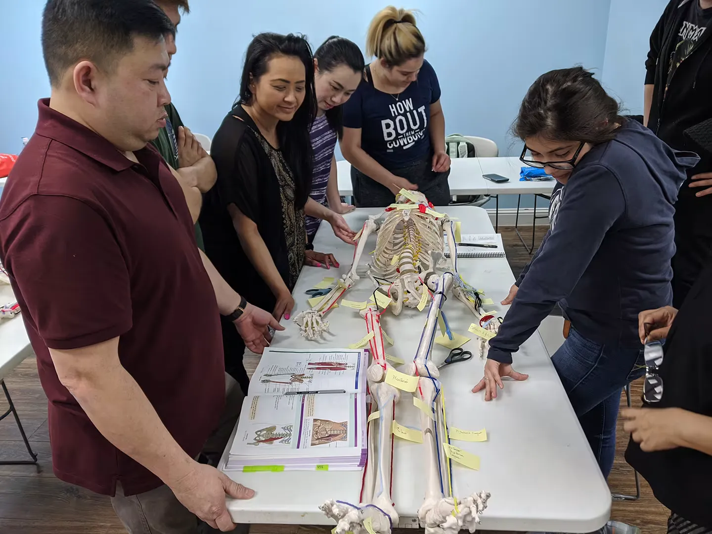 Students inspecting and annotating a skeletal figure